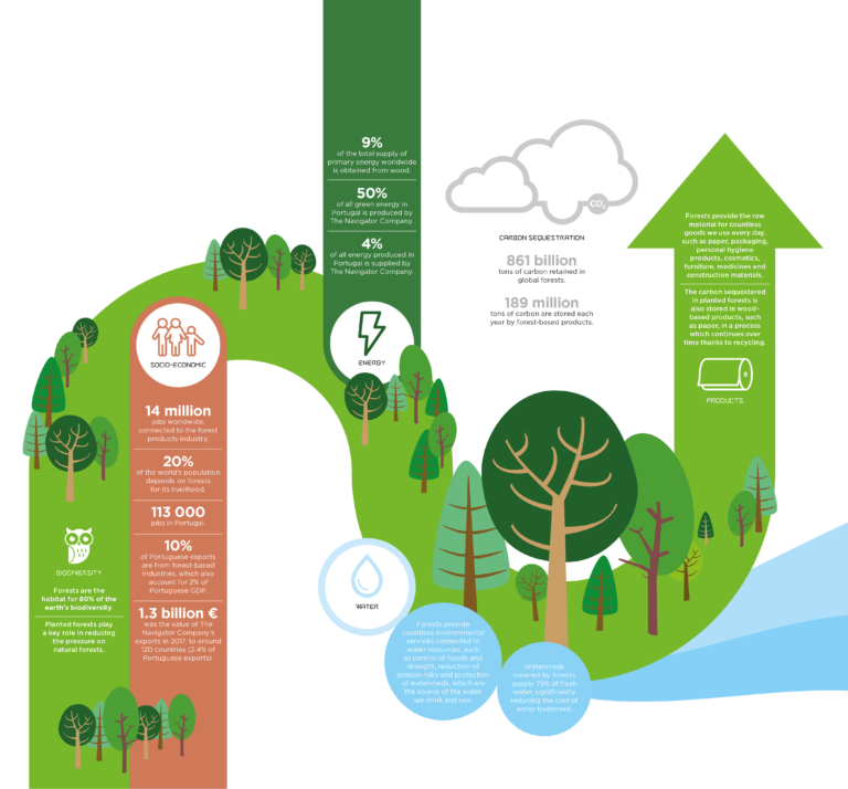 The Role Of Forests In Our Lives - The Newsletter